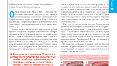 Photo of Эффективные методы лечения бронхита