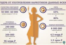 Photo of Актуальное состояние проблемы наркомании в Петербурге