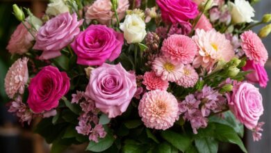 Photo of Преимущества заказа цветов онлайн в Полтаве